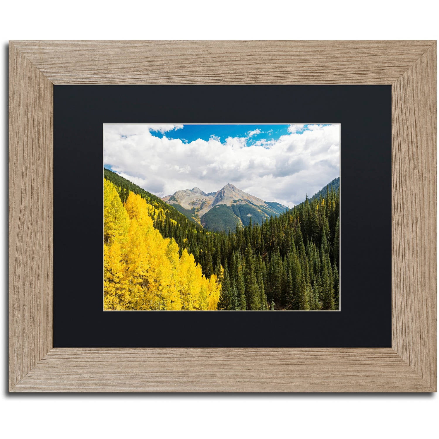 Trademark Fine Art "Splash of Gold" Canvas Art by Michael Blanchette Photography Black Matte, Birch Frame