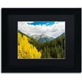 thumbnail image 1 of Trademark Fine Art "Splash of Gold" Canvas Art by Michael Blanchette Photography Black Matte, Black Frame, 1 of 4