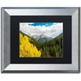 thumbnail image 1 of Trademark Fine Art "Splash of Gold" Canvas Art by Michael Blanchette Photography Black Matte, Silver Frame, 1 of 1