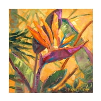 Trademark Fine Art Nanette Oleson Splash Of The Tropics I Canvas Wall Art - 14x14