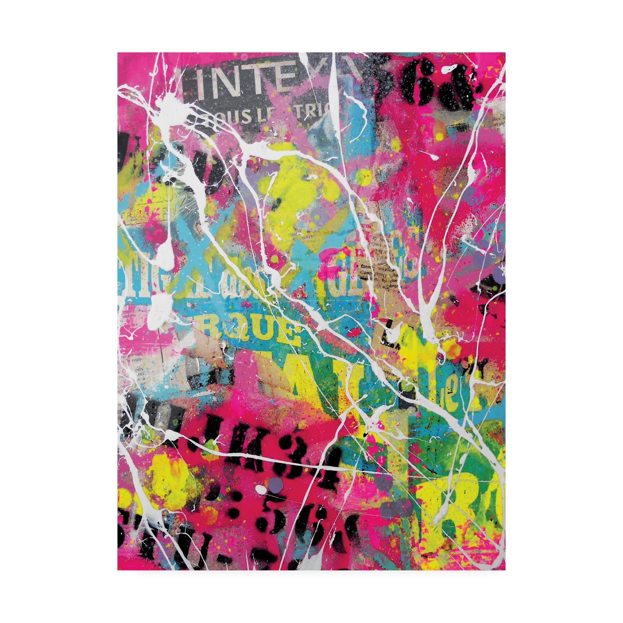 Trademark Fine Art 'Splatter Graffiti' Canvas Art by David Drioton