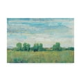 thumbnail image 1 of Trademark Fine Art 'Splendor in Spring I' Canvas Art by Tim OToole, 1 of 4