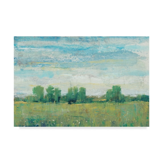 Trademark Fine Art 'Splendor in Spring I' Canvas Art by Tim OToole
