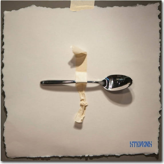 Trademark Fine Art "Spoon" Canvas Art by Roderick Stevens