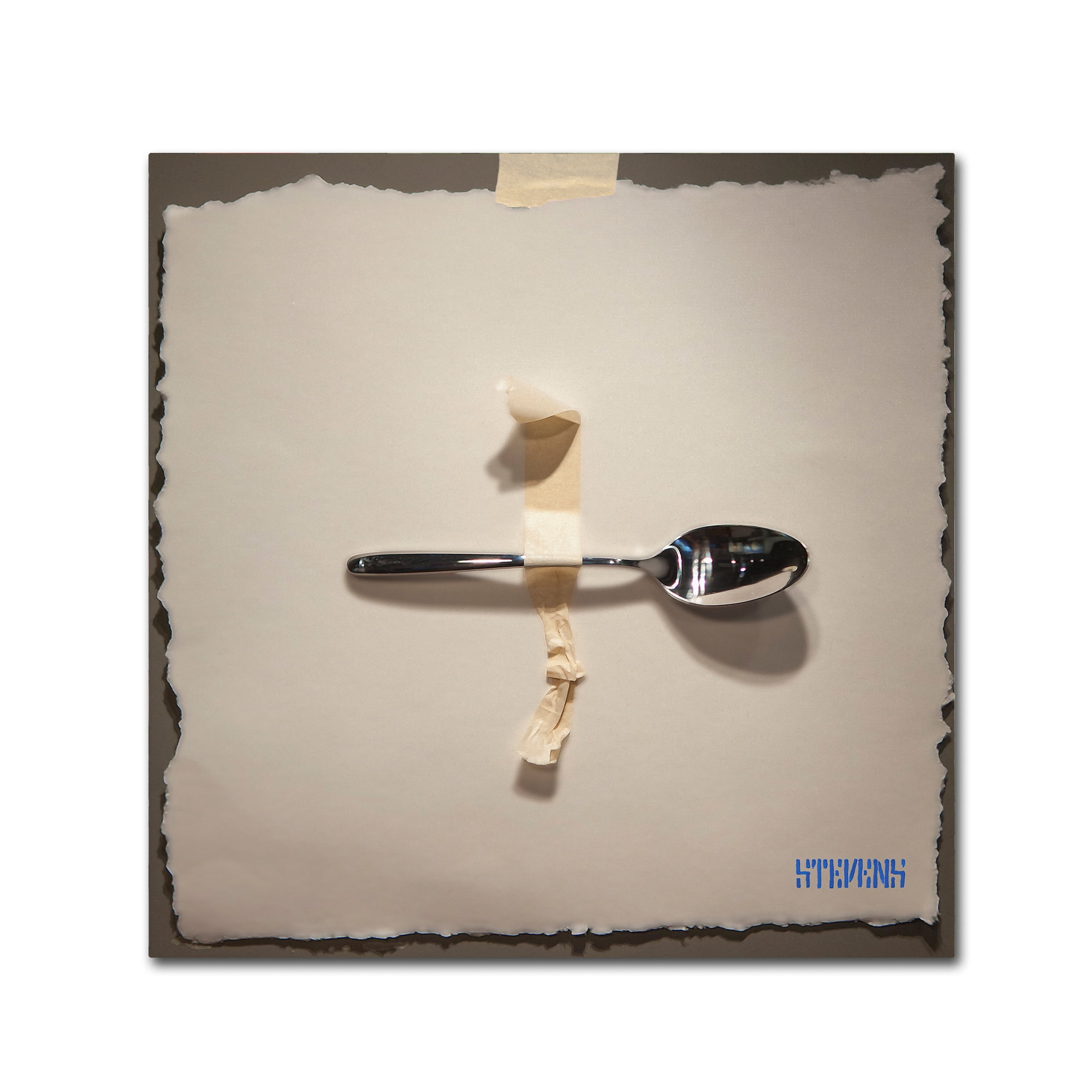 Trademark Fine Art "Spoon" Canvas Art by Roderick Stevens