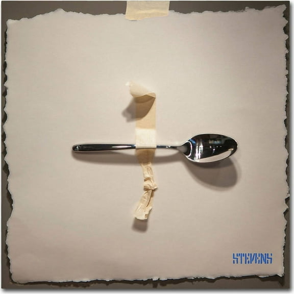 Trademark Fine Art "Spoon" Canvas Art by Roderick Stevens