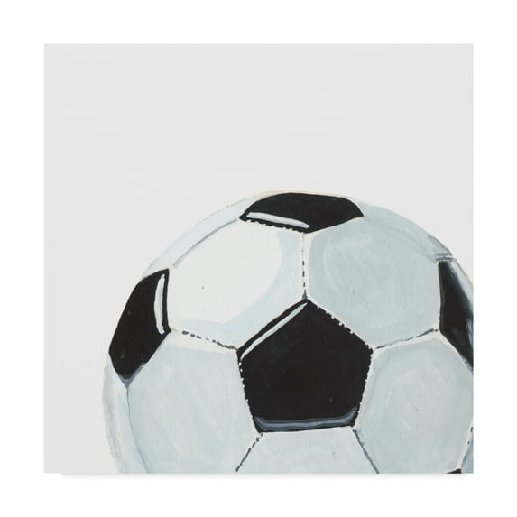 Trademark Fine Art 'Sporting VI' Canvas Art by Naomi McCavitt