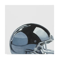 Trademark Fine Art 'Sporting VIII' Canvas Art by Naomi McCavitt