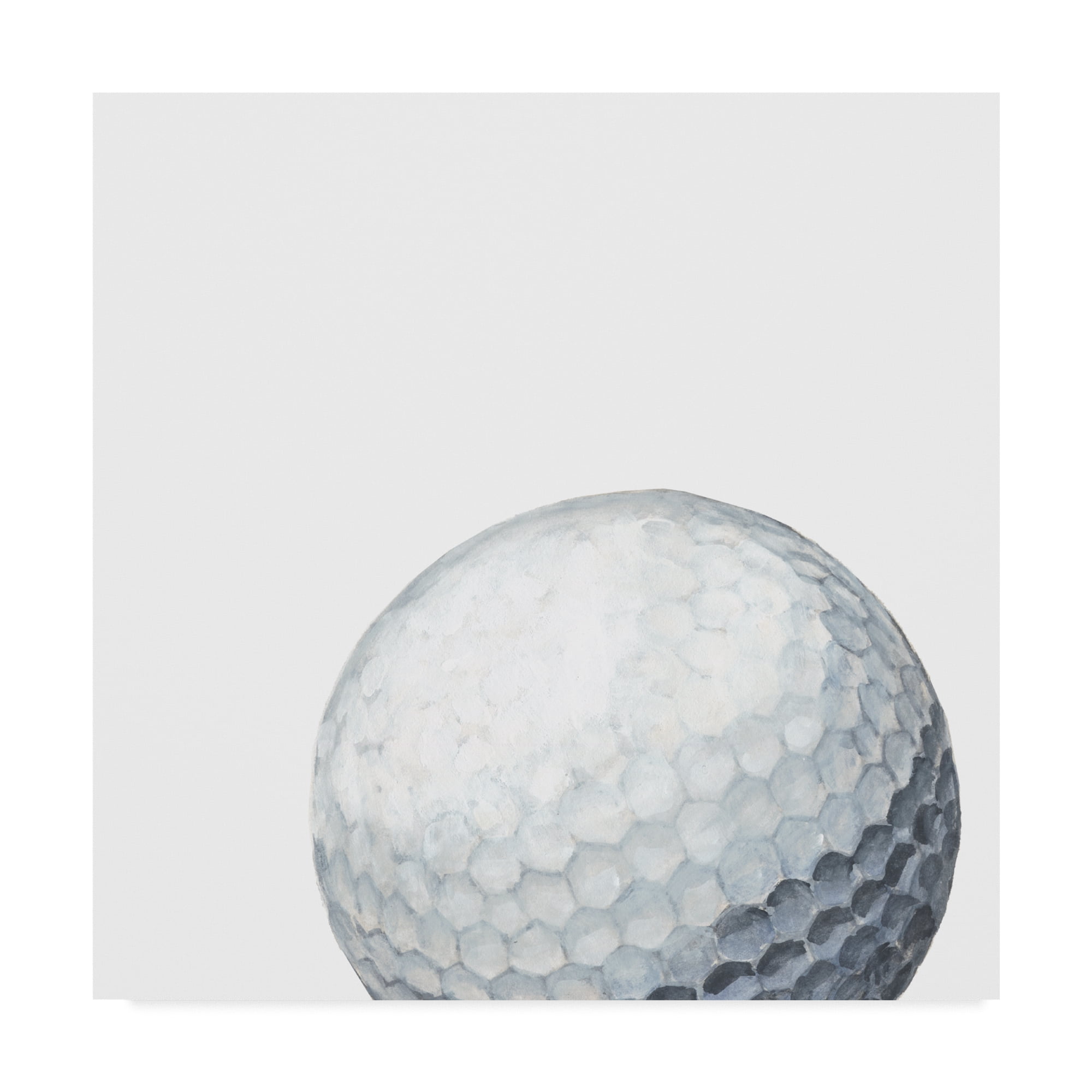 Trademark Fine Art 'Sporting XI' Canvas Art by Naomi McCavitt