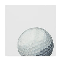 Trademark Fine Art 'Sporting XI' Canvas Art by Naomi McCavitt