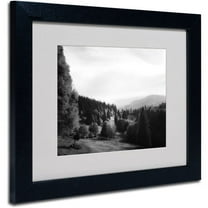 Trademark Fine Art "Spotlight" Canvas Art by Philippe Sainte-Laudy, Black Frame