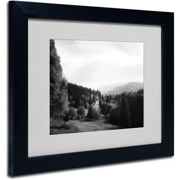 Trademark Fine Art "Spotlight" Canvas Art by Philippe Sainte-Laudy, Black Frame