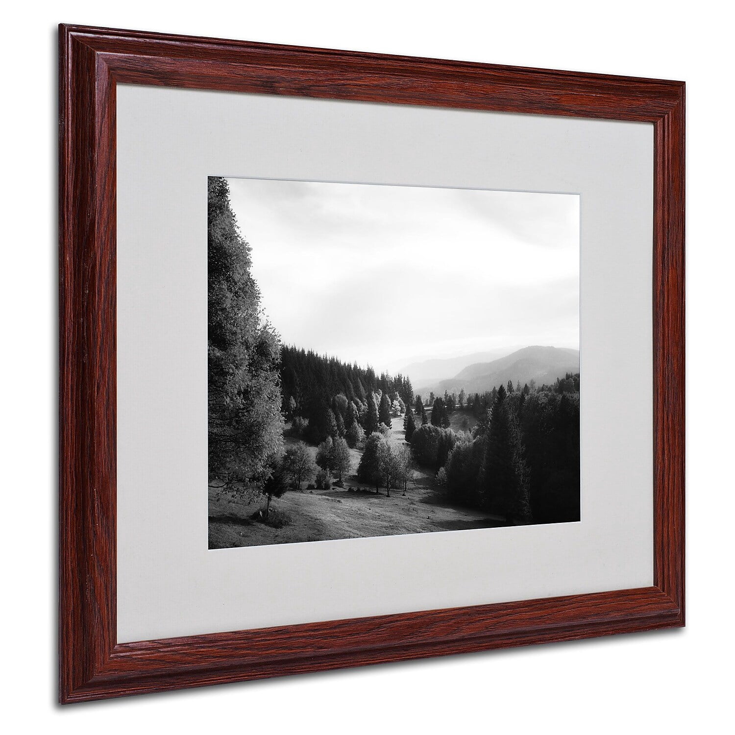 Trademark Fine Art "Spotlight" Canvas Art by Philippe Sainte-Laudy, Wood Frame