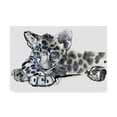 thumbnail image 1 of Trademark Fine Art 'Spotty Arabian Leopard Cub' Canvas Art by Mark Adlington, 1 of 3