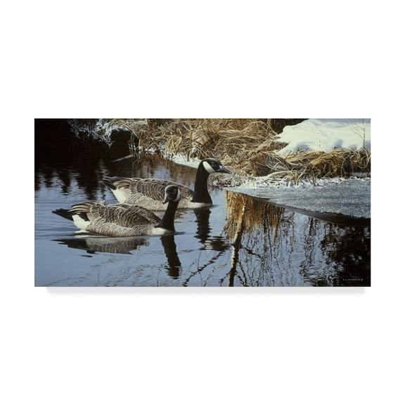 Trademark Fine Art 'Spring Arrivals Canada Geese' Canvas Art by Ron Parker