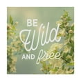 thumbnail image 1 of Trademark Fine Art 'Spring Beauty II Square' Canvas Art by Sue Schlabach, 1 of 3