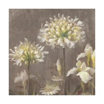 Trademark Fine Art 'Spring Blossoms Neutral III' Canvas Art by Danhui Nai