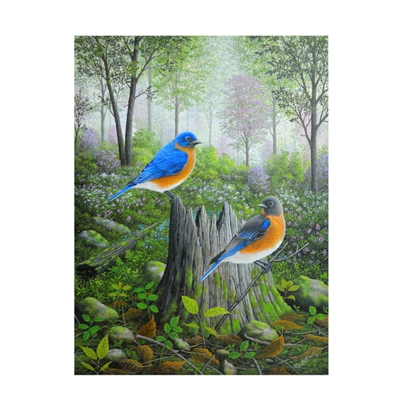 Trademark Fine Art 'Spring Bluebirds' Canvas Art by Robert Wavra