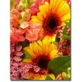 thumbnail image 1 of Trademark Fine Art "Spring Bouquet II" Canvas Wall Art by Amy Vangsgard, 1 of 1