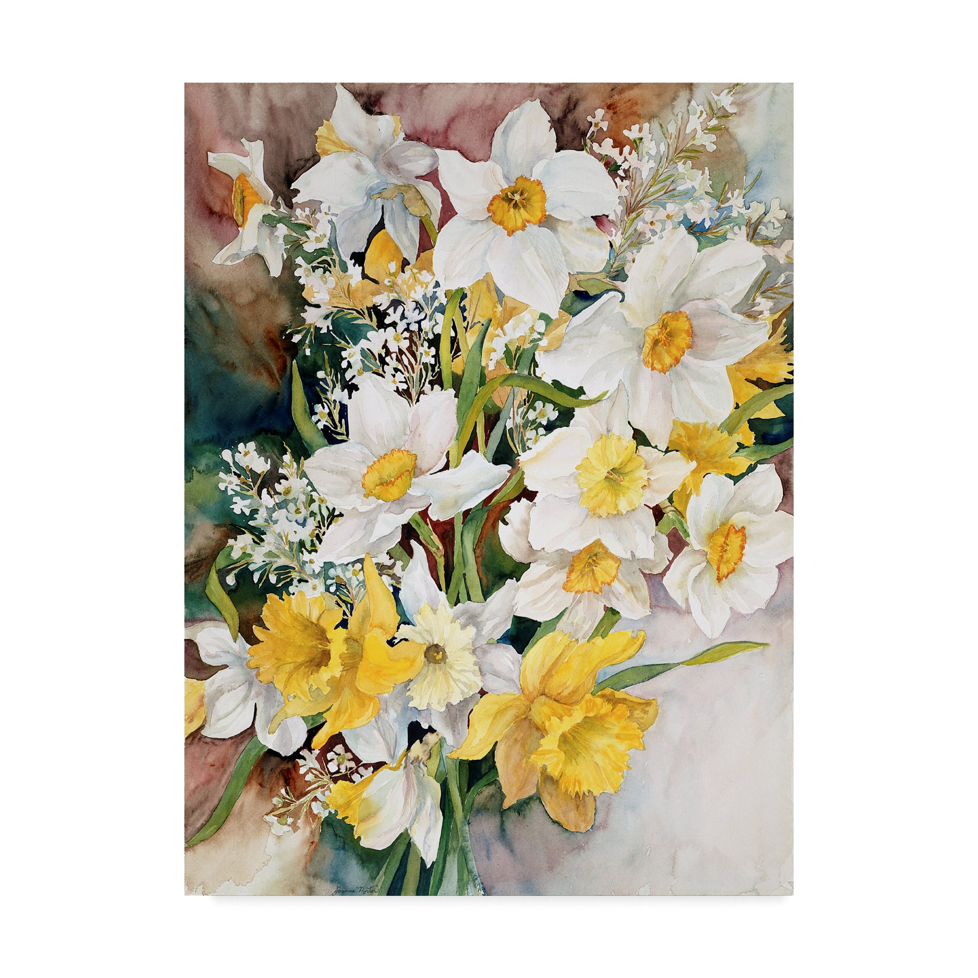 Trademark Fine Art 'Spring Daffodils' Canvas Art by Joanne Porter