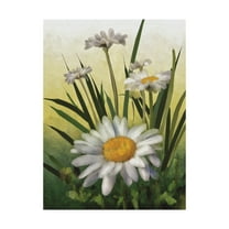 Trademark Fine Art 'Spring Daisies' Canvas Art by Lois Bryan