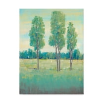 Trademark Fine Art 'Spring Day I' Canvas Art by Tim OToole