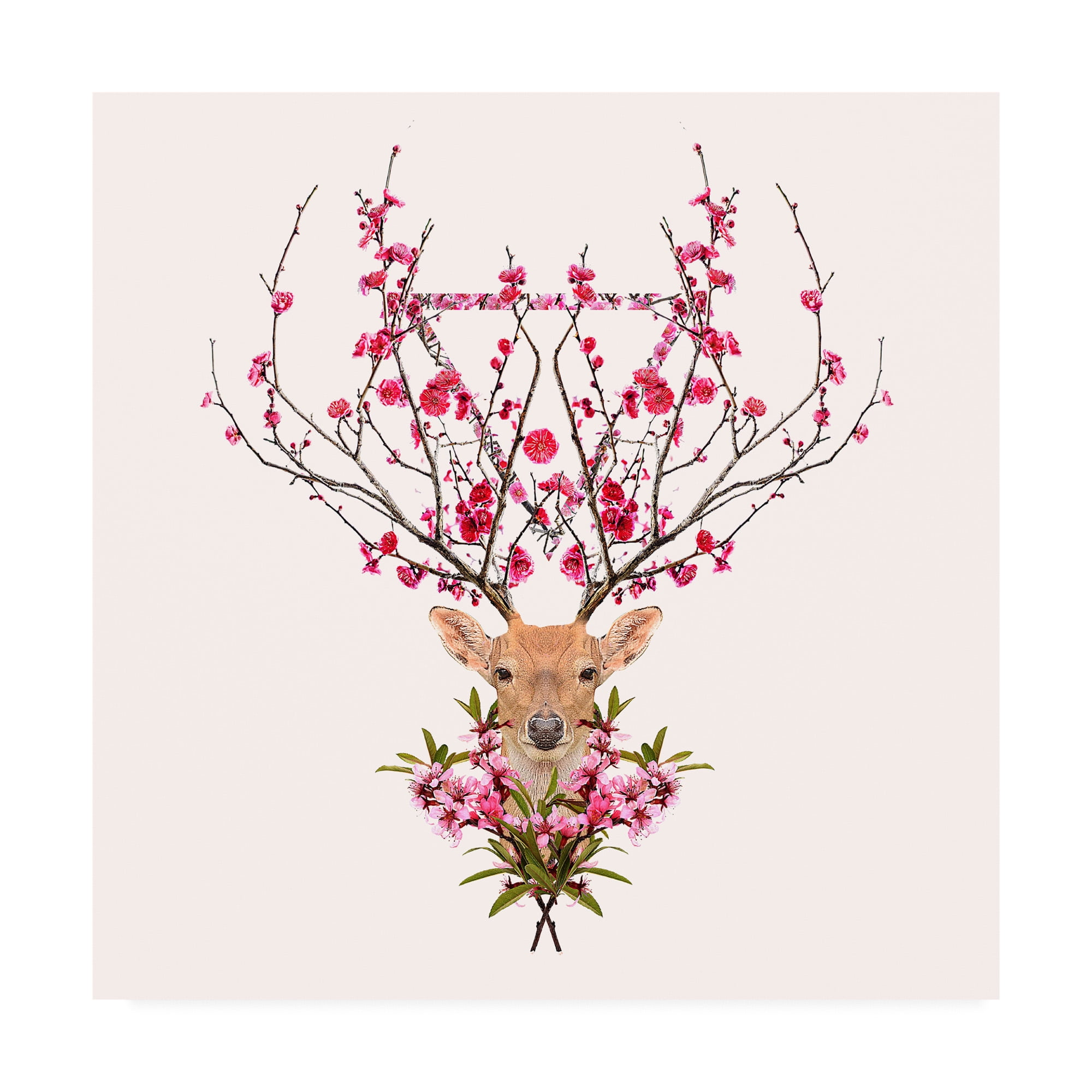 Trademark Fine Art 'Spring Deer' Canvas Art by Robert Farka