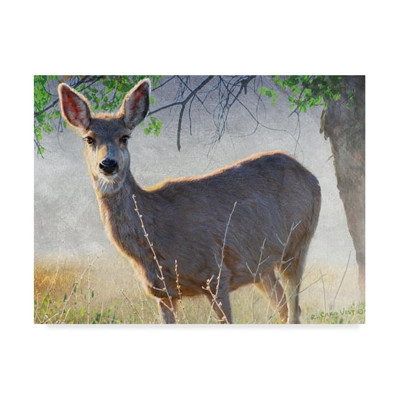 Trademark Fine Art 'Spring Doe' Canvas Art by Chris Vest