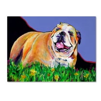 Trademark Fine Art 'Spring Fever' Canvas Art by Pat Saunders-White