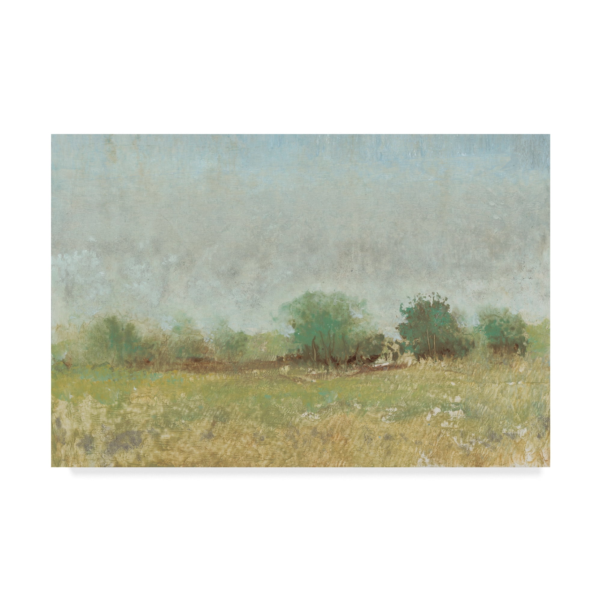 Trademark Fine Art 'Spring Field II' Canvas Art by Tim OToole