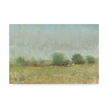 Trademark Fine Art 'Spring Field II' Canvas Art by Tim OToole