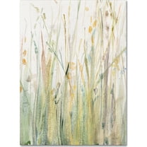 Trademark Fine Art "Spring Grasses I Crop" Canvas Art by Avery Tillmon
