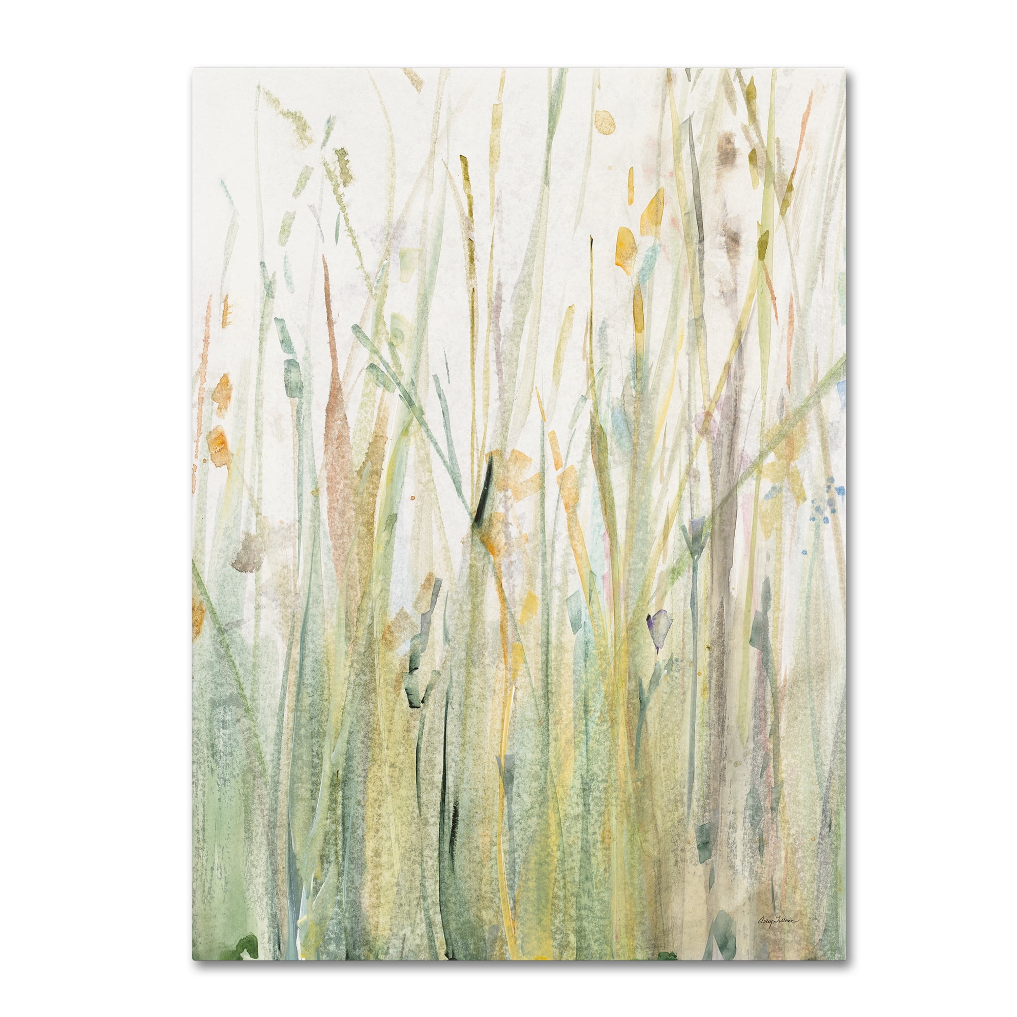 Trademark Fine Art "Spring Grasses I Crop" Canvas Art by Avery Tillmon