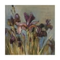 thumbnail image 1 of Trademark Fine Art 'Spring Iris I' Canvas Art by Danhui Nai, 1 of 3