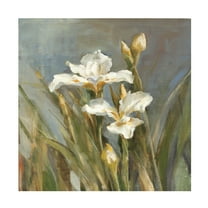 Trademark Fine Art 'Spring Iris II' Canvas Art by Danhui Nai