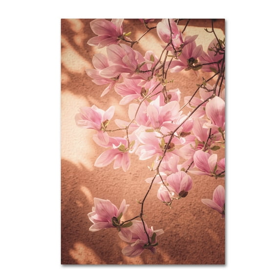Trademark Fine Art 'Spring Light' Canvas Art by Philippe Sainte-Laudy