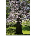 thumbnail image 1 of Trademark Fine Art "Spring Magnolia" Canvas Art by Kurt Shaffer, 1 of 4