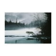 thumbnail image 1 of Trademark Fine Art 'Spring Mist Gray Wolf' Canvas Art by Ron Parker, 1 of 3