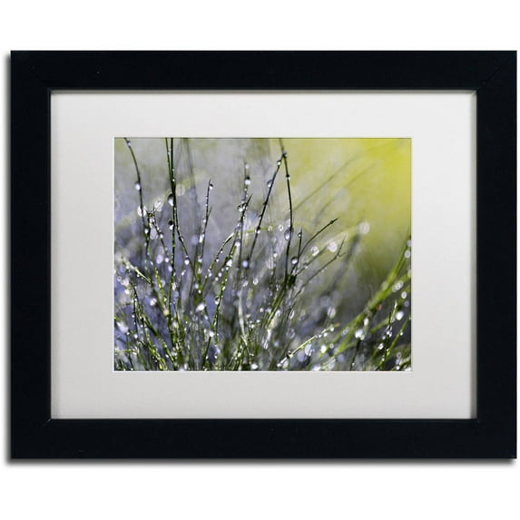 Trademark Fine Art "Spring Morning" Canvas Art by Beata Czyzowska Young, White Matte, Black Frame
