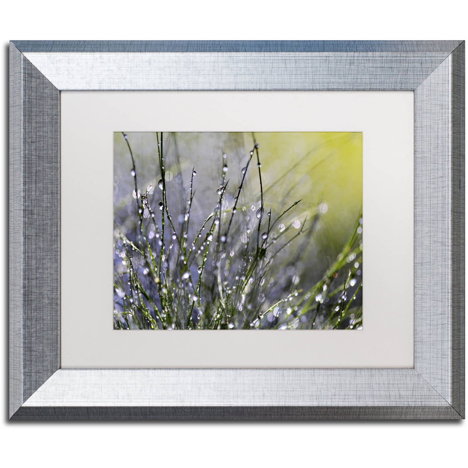 Trademark Fine Art "Spring Morning" Canvas Art by Beata Czyzowska Young, White Matte, Silver Frame