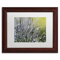 Trademark Fine Art "Spring Morning" Canvas Art by Beata Czyzowska Young, White Matte, Wood Frame
