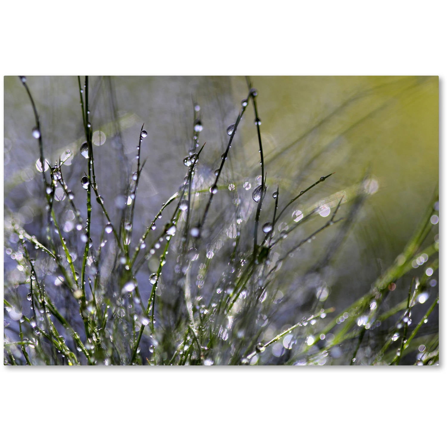 Spring Morning Abstract Framed Canvas Print, 12 x 19