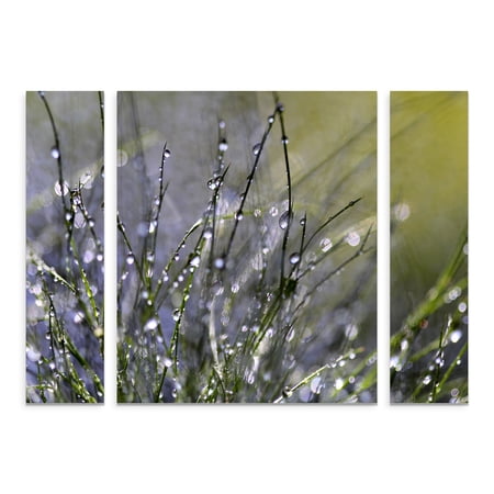 Trademark Fine Art 'Spring Morning' Multi-Panel Canvas Art Set by Beata Czyzowska Young