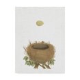 thumbnail image 1 of Trademark Fine Art 'Spring Nest II' Canvas Art by Wild Apple Portfolio, 1 of 3