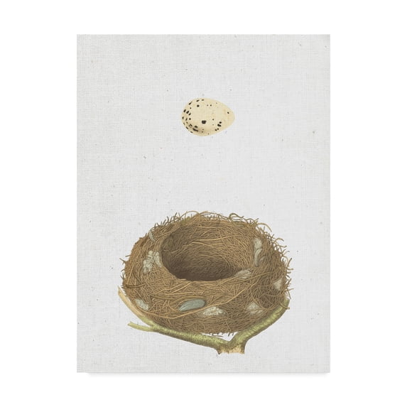 Trademark Fine Art 'Spring Nest III' Canvas Art by Wild Apple Portfolio
