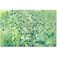 thumbnail image 1 of Trademark Fine Art "Spring Notes" Canvas Art by Beata Czyzowska Young, 1 of 4