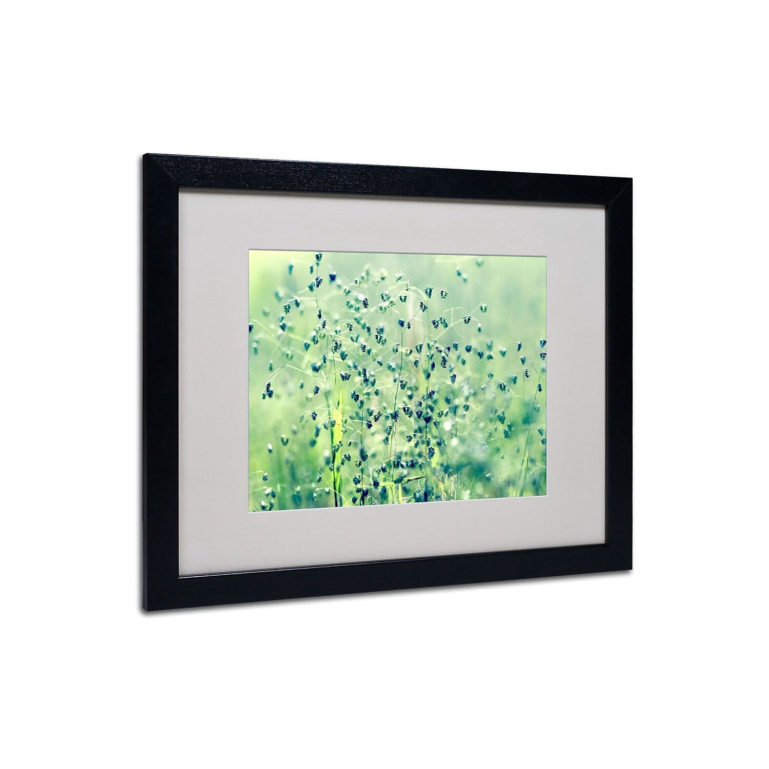 Trademark Fine Art "Spring Notes" Framed Canvas Art by Beata Czyzowska Young