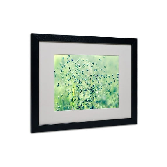 Trademark Fine Art "Spring Notes" Framed Canvas Art by Beata Czyzowska Young
