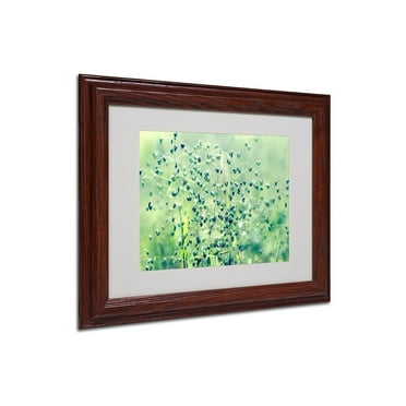 Trademark Fine Art "Spring Notes" Framed Canvas Art by Beata Czyzowska Young