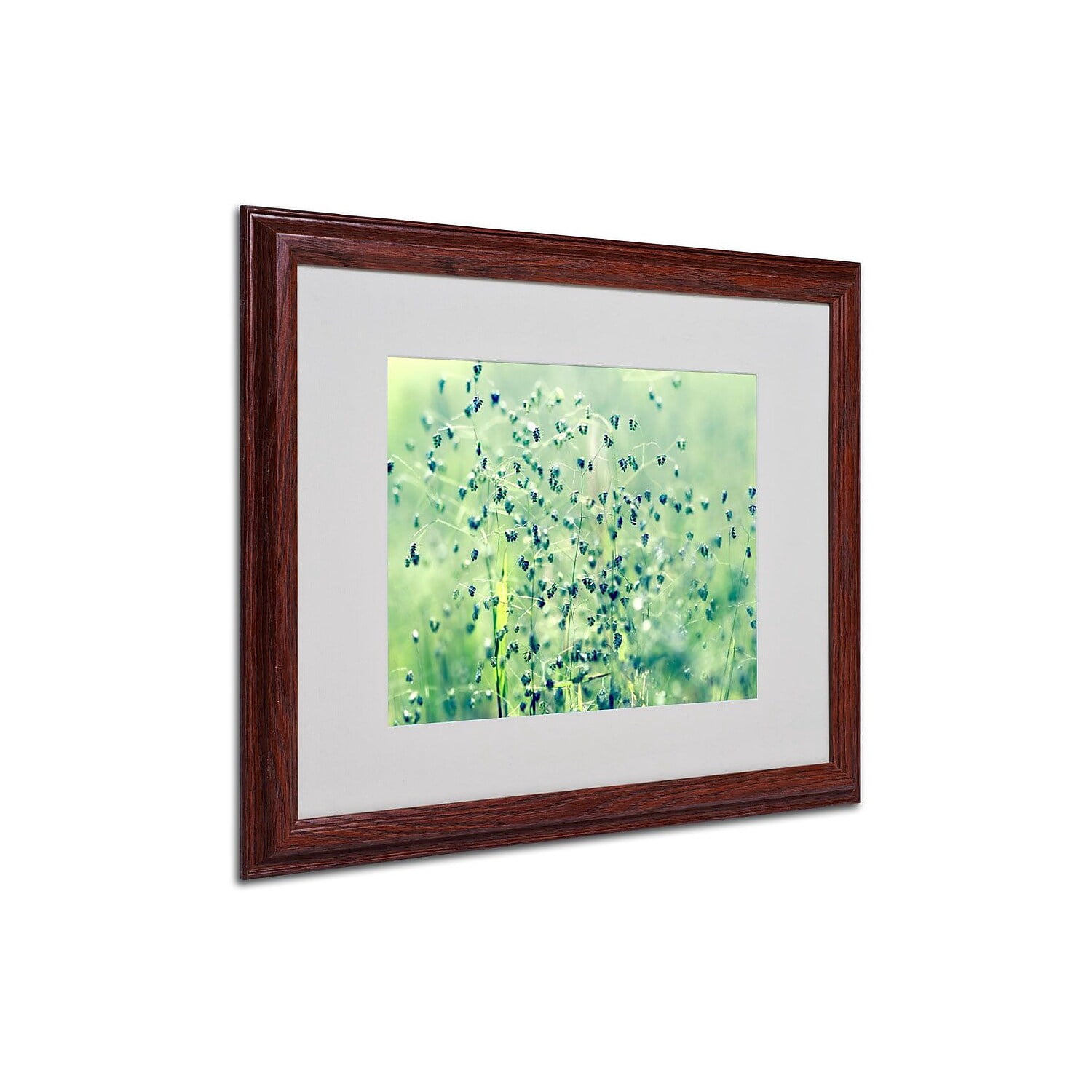 Trademark Fine Art "Spring Notes" Framed Canvas Art by Beata Czyzowska Young